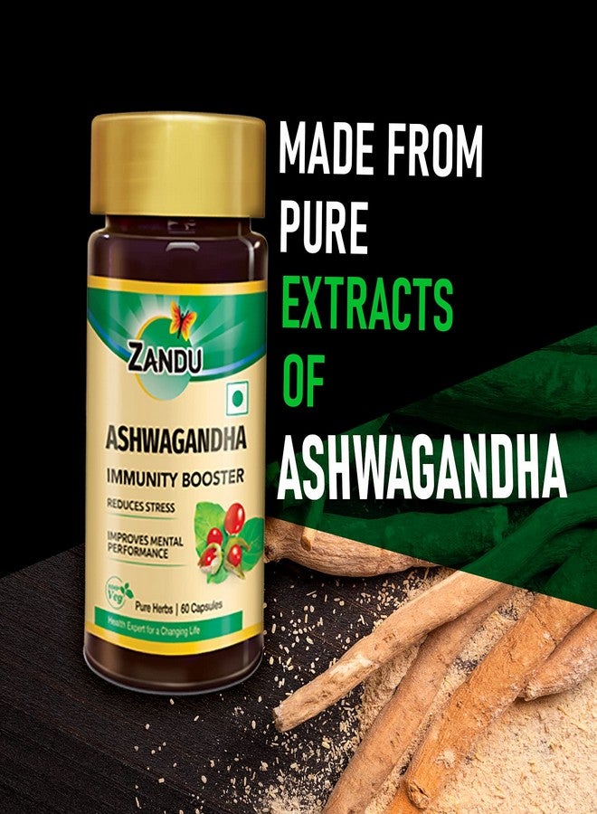 Zandu Ashwagandha Capsules, With Goodness of Natural Extracts of Ashwagandha, Helps Boost Immunity and Useful for Natural Body Strength, Stress Buster - (Pack of 60 Veg capsules x 2) - Image 2